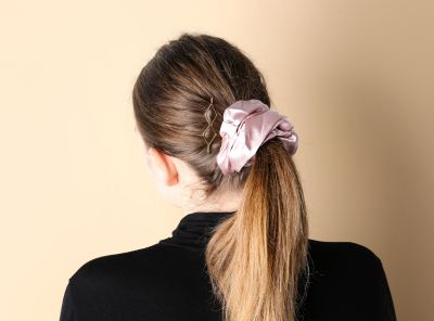 Ponytail Hairstyle